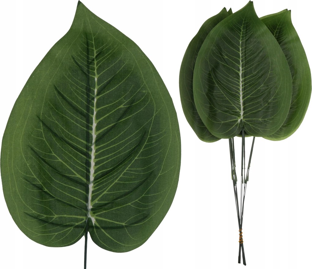 12 X Difenbachia Levél 47 CM Ágak Kompozícióhoz