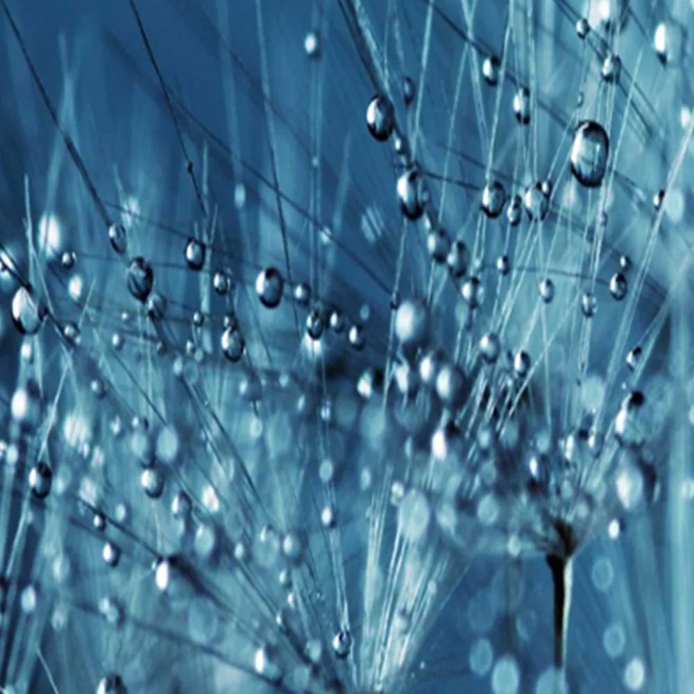 Gario Paraván Kék Blowfish Méret: 180 x 170 cm, Kivitelezés: Klasszikus paraván