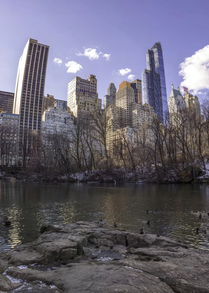 Poszter 50x70cm Alsó-Manhattan panoráma a Central Parkból, Assaf Frank
