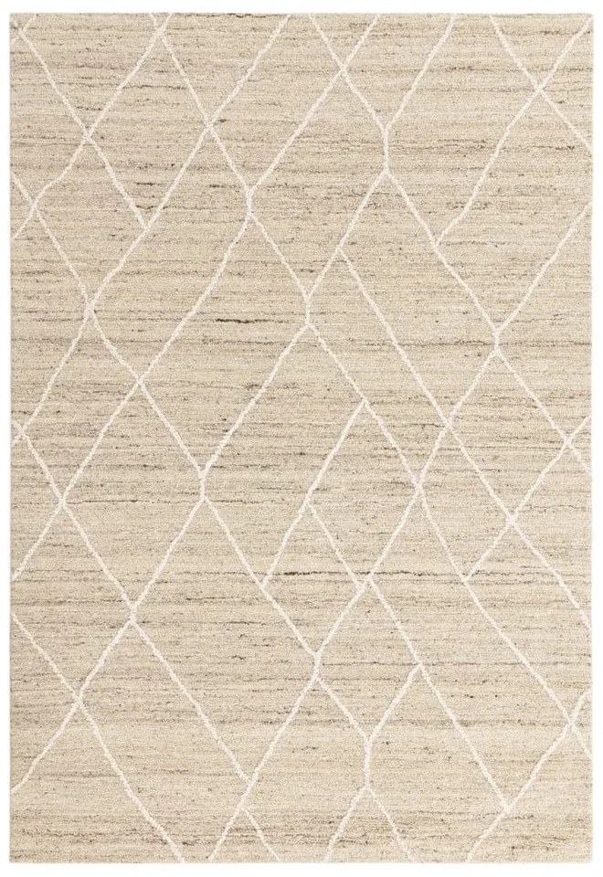 Natúr színű gyapjú szőnyeg 200x290 cm Noah – Asiatic Carpets