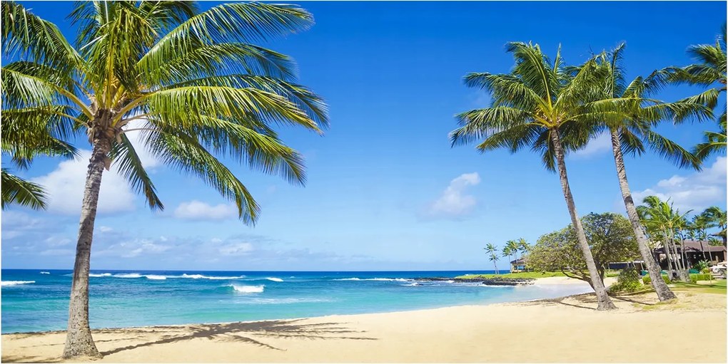 Fotó üvegkép Trópusi tengerpart 140x70