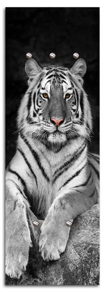 Gario Fali fogas Tigris Méret: 25 x 70 cm