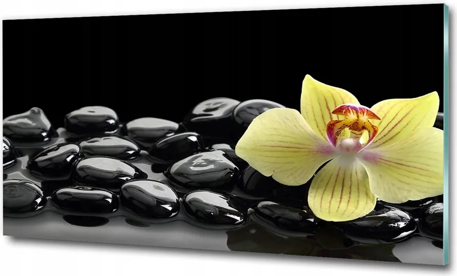 Fotó üvegkép Pitypang magok 125x50