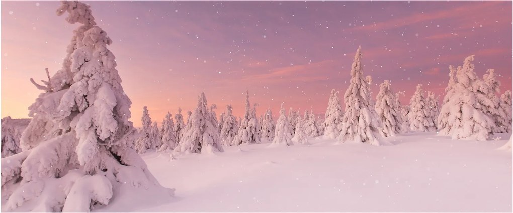 Kép - Fák a hótakaró alatt (120x50 cm)