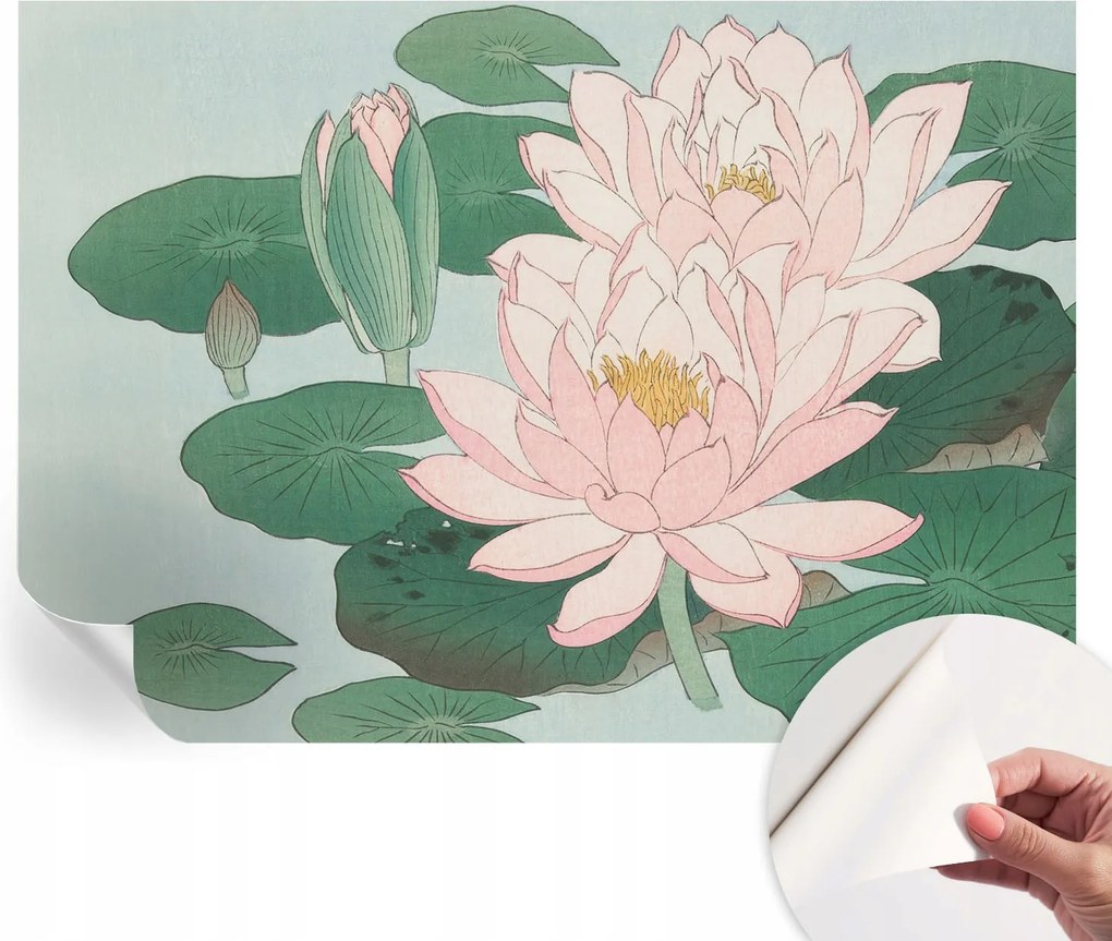 Öntapadós Dekoratív Fotótapéta Hálószobába Vízi lótusz 312x219 cm