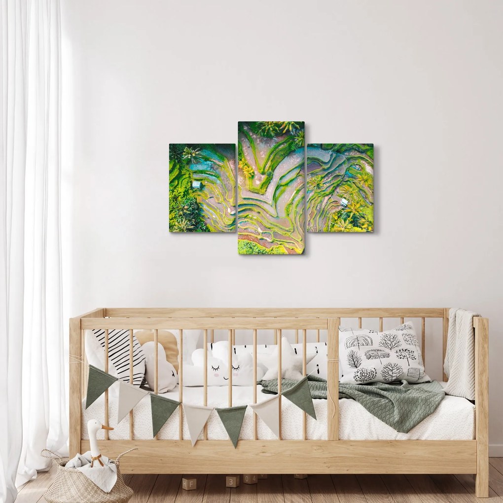A rizsföldek képe madártávlatból (90x60 cm)
