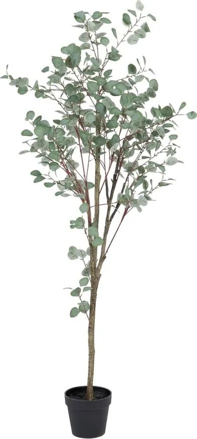 Eukaliptusz műnövény (magasság 180 cm) Eucalyptus – Ixia
