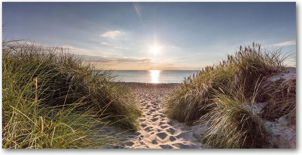 Fotó üvegkép Tengerparti dűnék 140x70