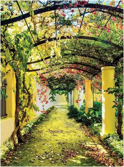 Fotótapéta Íj Virágos kert vinil 184x254 Perspektíva Zöld Nyári +ragasztó