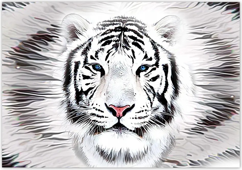 Fotótapéta flizelina 312x219 Fehér tigris