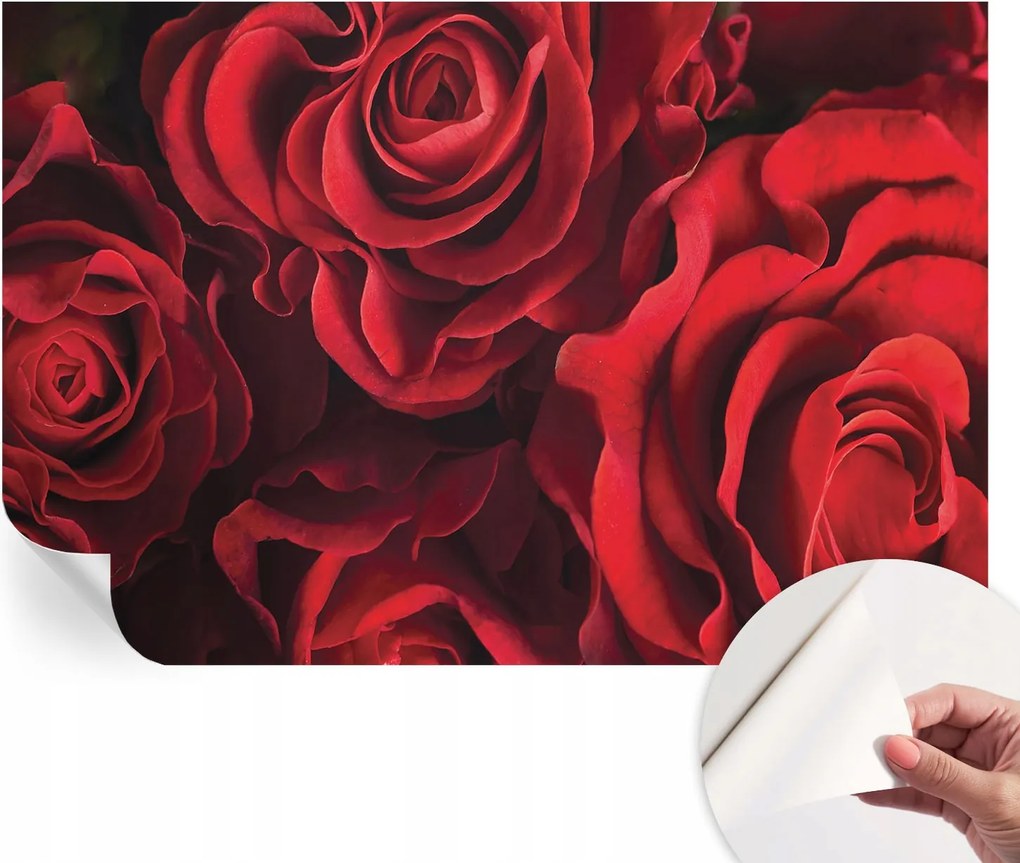 Öntapadós tapéta Divatos 3D fali ragasztóval Vörös rózsák 104x70 cm