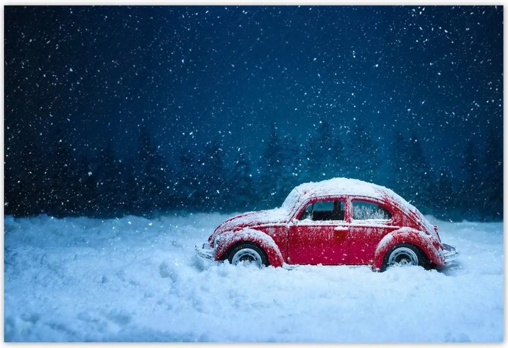 Poszterek 200x135 Bogár