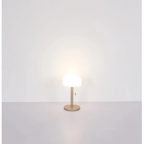 Globo 21016CH - NORMAN LED asztali lámpa 1,5W 3000-6000K barna