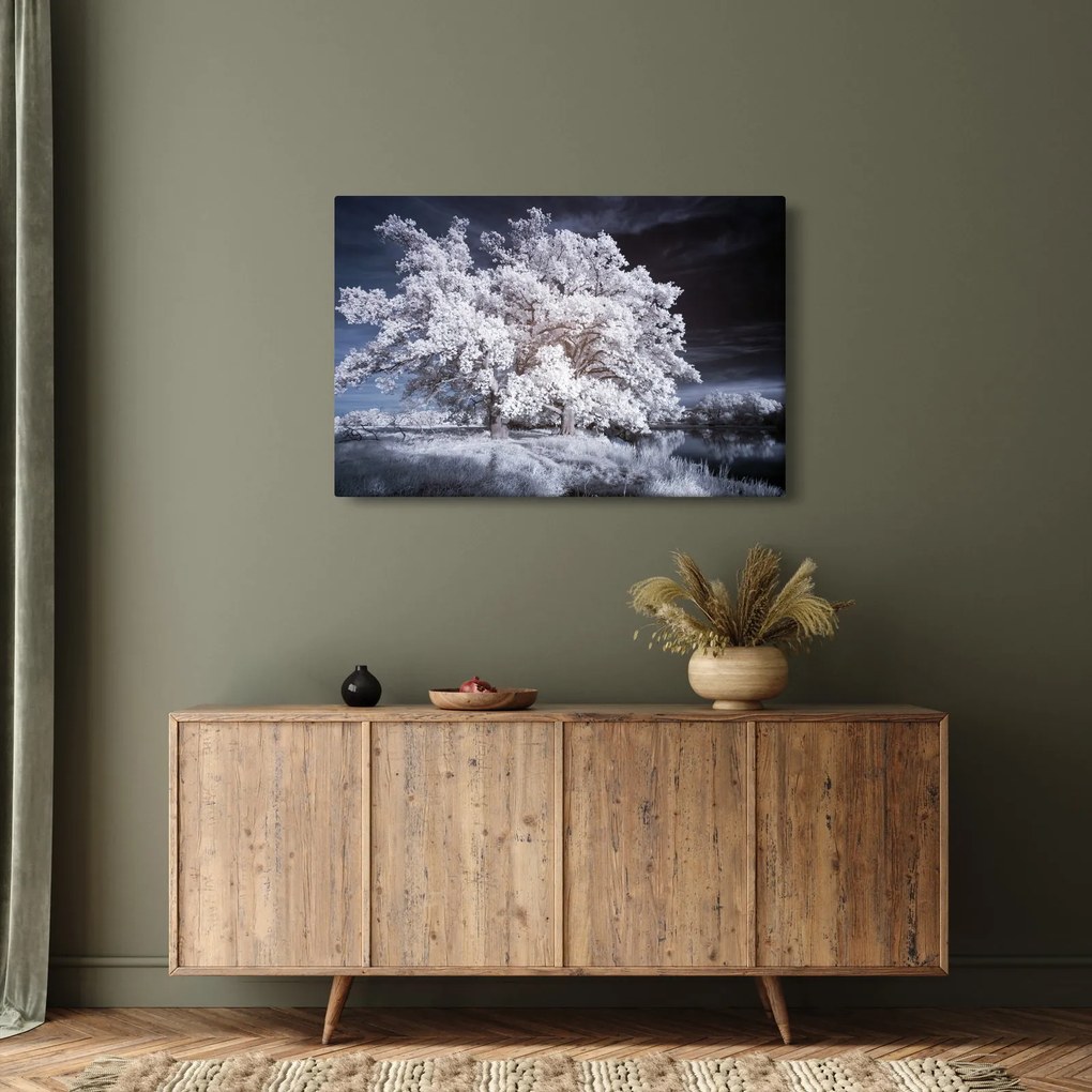 Kép - Hófehérke fa (90x60 cm)
