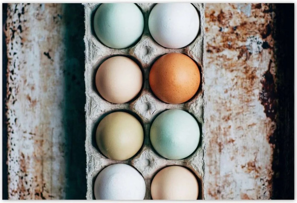 Poszterek 155x105 Konyhai képek Forradalmak