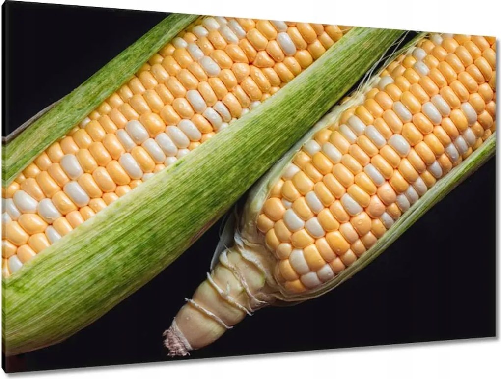 Képek 120x80 Két kukoricacsutka