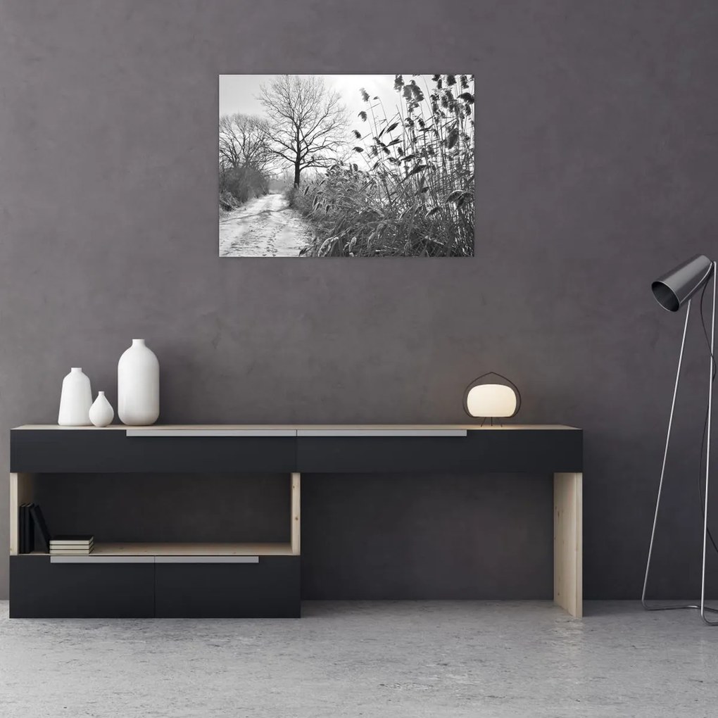 Üveg kép - Mezők télen (70x50 cm)