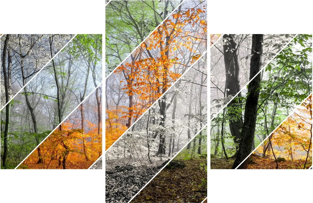 Kép - Változó évszakok (90x60 cm)