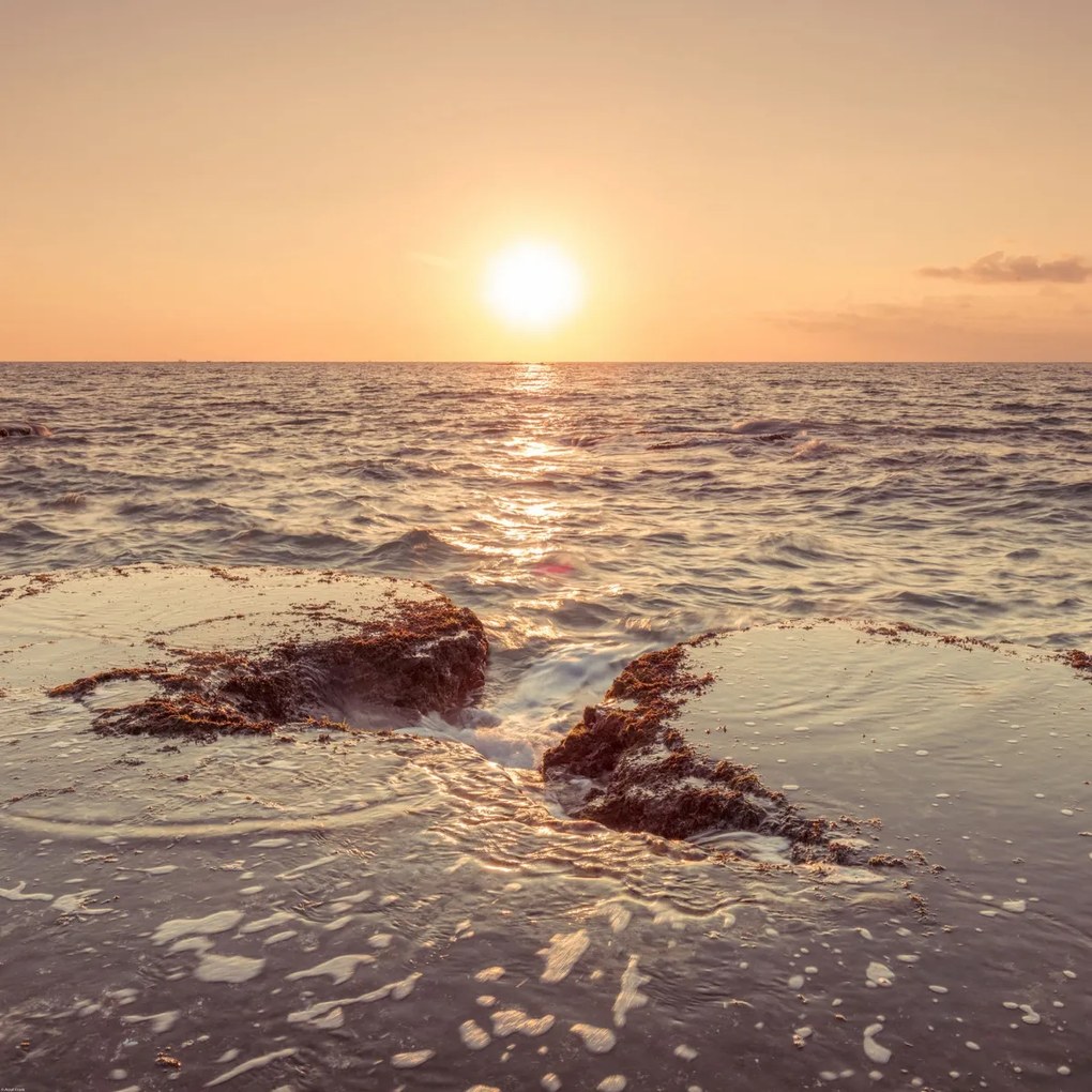 Poszter 80x80cm Naplemente a tengerparton, Assaf Frank