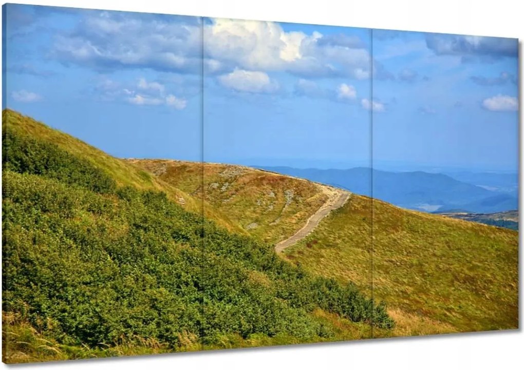Festmények 120x80 Bieszczady