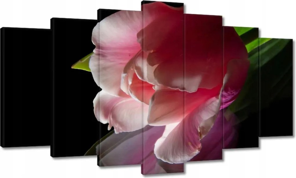 Vászonkép 140x80 Rózsaszín tulipán virág