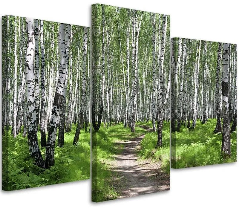 Gario Vászonkép Nyírfa erdő - 3 részes Méret: 120 x 80 cm