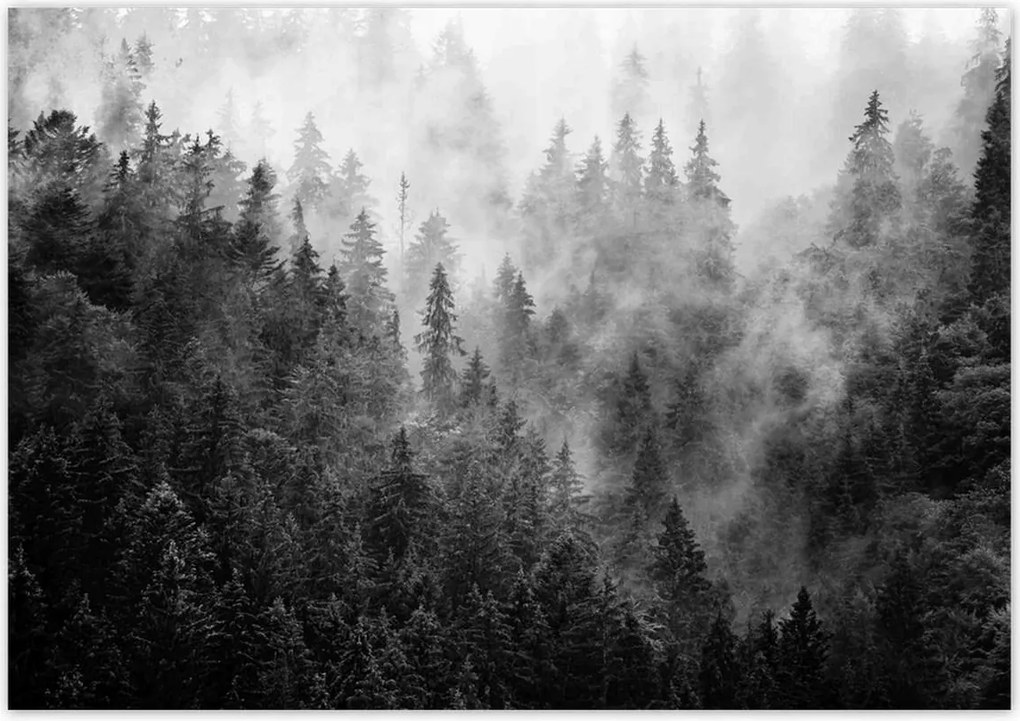 Poszterek 100x70 Tájkép Szürke Hegyek Köd