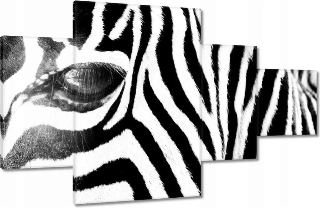 Vászonkép 130x80 Zebra csíkok