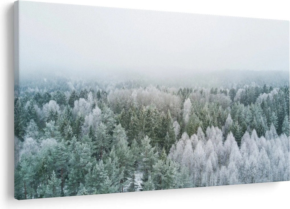 Kép - Havas erdőcsúcsok (90x60 cm)