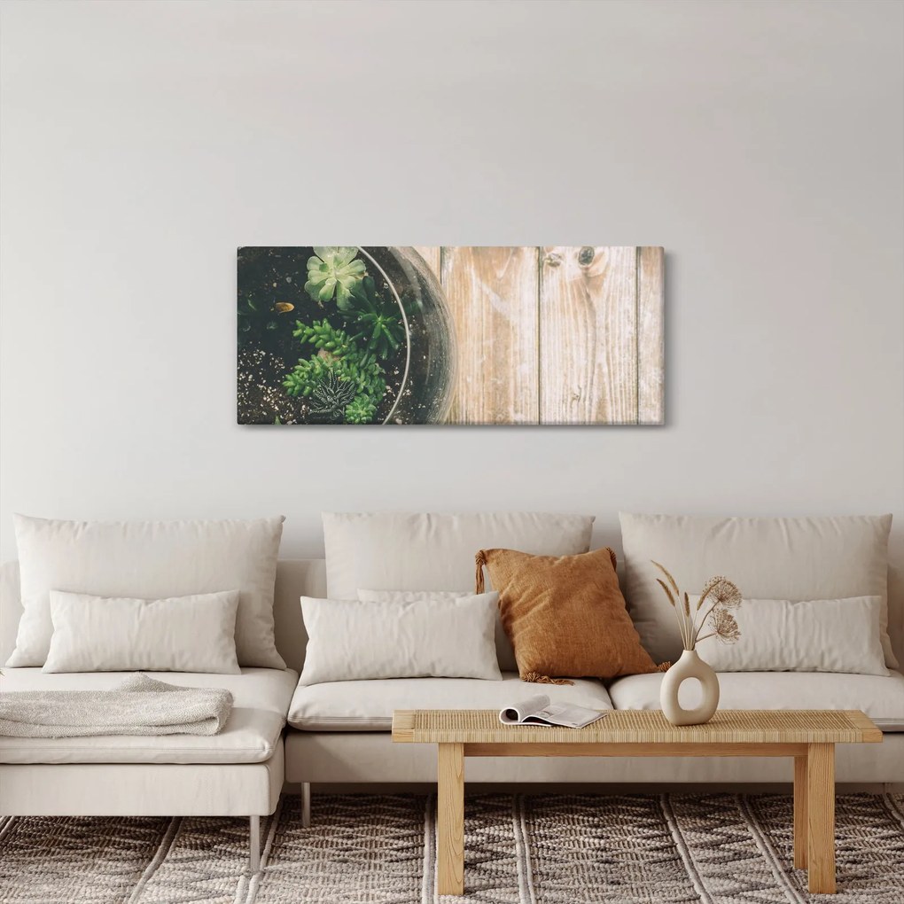 A pozsgás növények képe üvegben (120x50 cm)