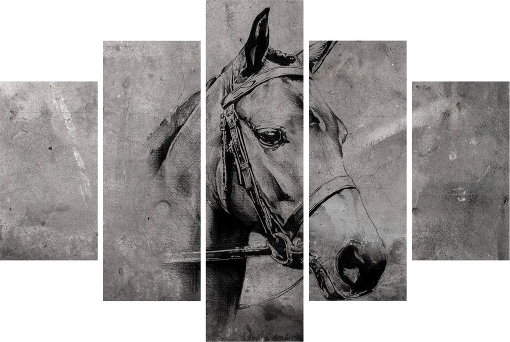 Kép - Egy ló portréja (150x105 cm)