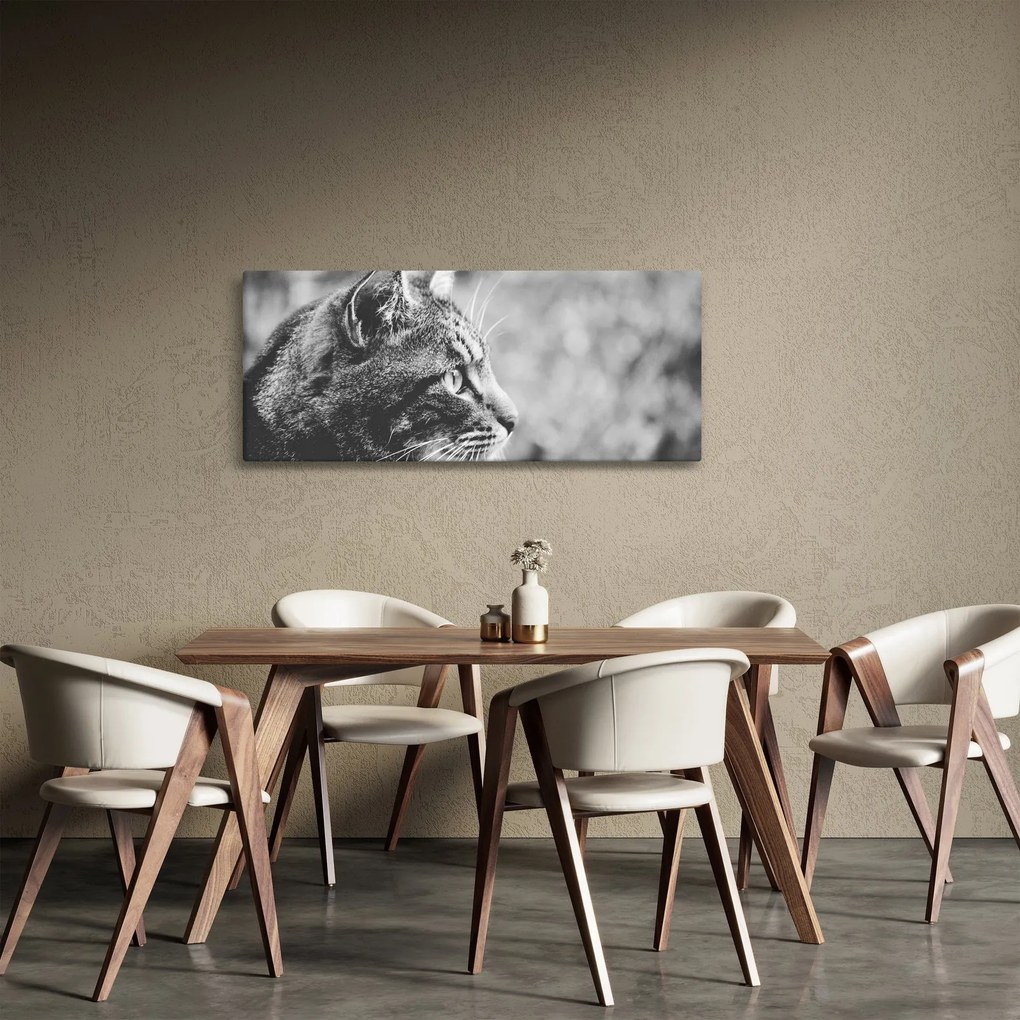 Kép - Macska (120x50 cm)