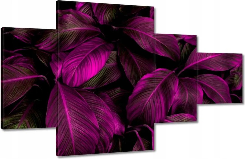 Vászonkép 130x80 Gyönyörű fukszia levelek