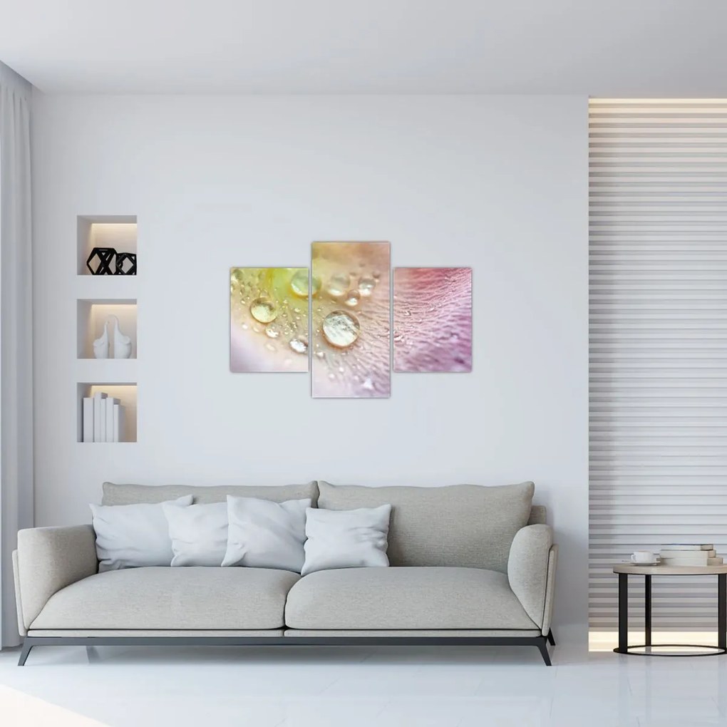 Kép - Harmatcseppek (90x60 cm)