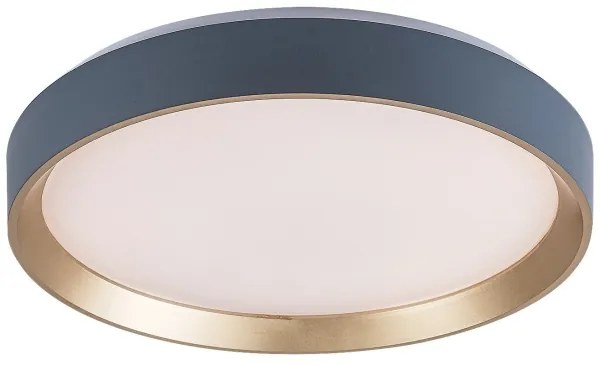 Rabalux 71185 - LED Mennyezeti lámpa LIATRIS LED/25W/230V 3000K átm. 38 cm