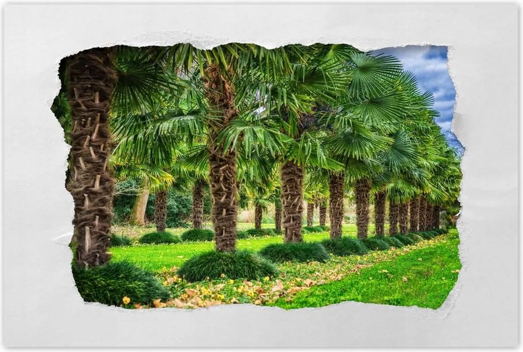 Poszterek 60x40 Tájkép