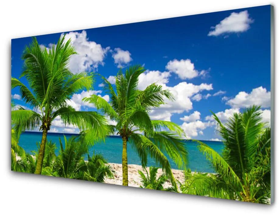 Üvegfotó Sea Palm Trees Landscape 140x70 cm