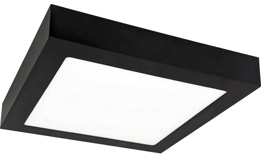 LED Mennyezeti lámpa FENIX LED/12W/230V 3800K 17 cm