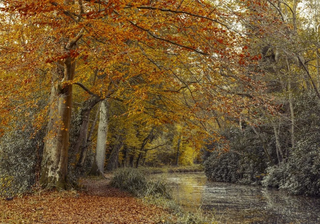 Poszter 100x70cm Ösvény a csatornánál, Assaf Frank