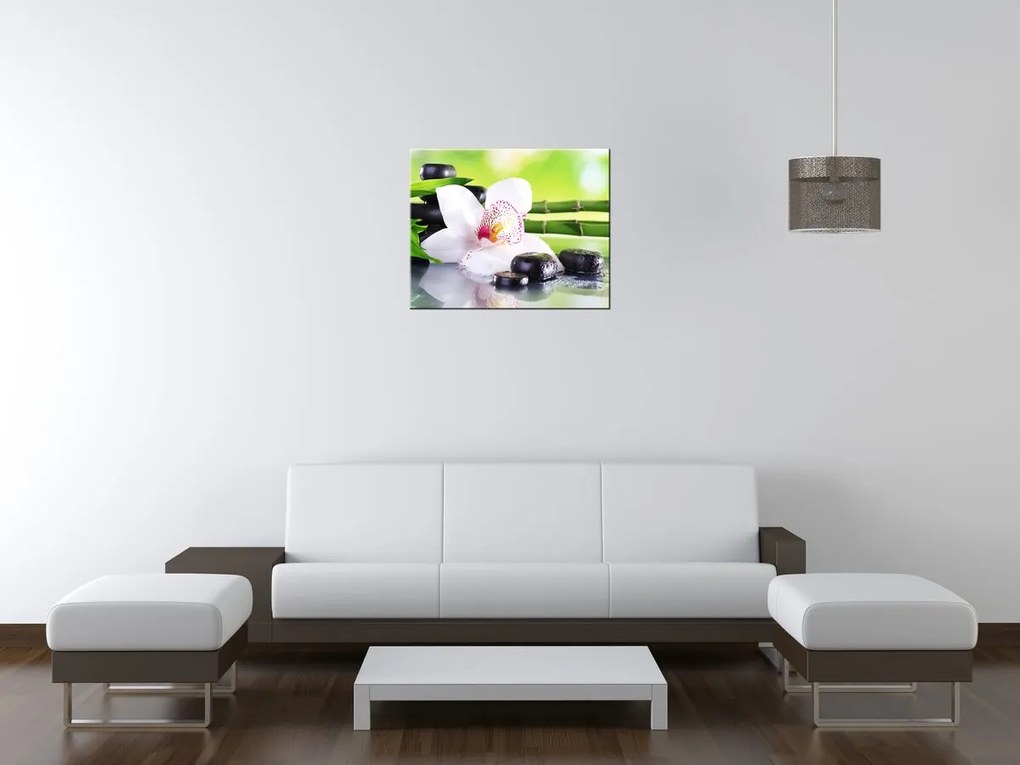 Gario Vászonkép Fehér orchidea és kövek Méret: 100 x 70 cm