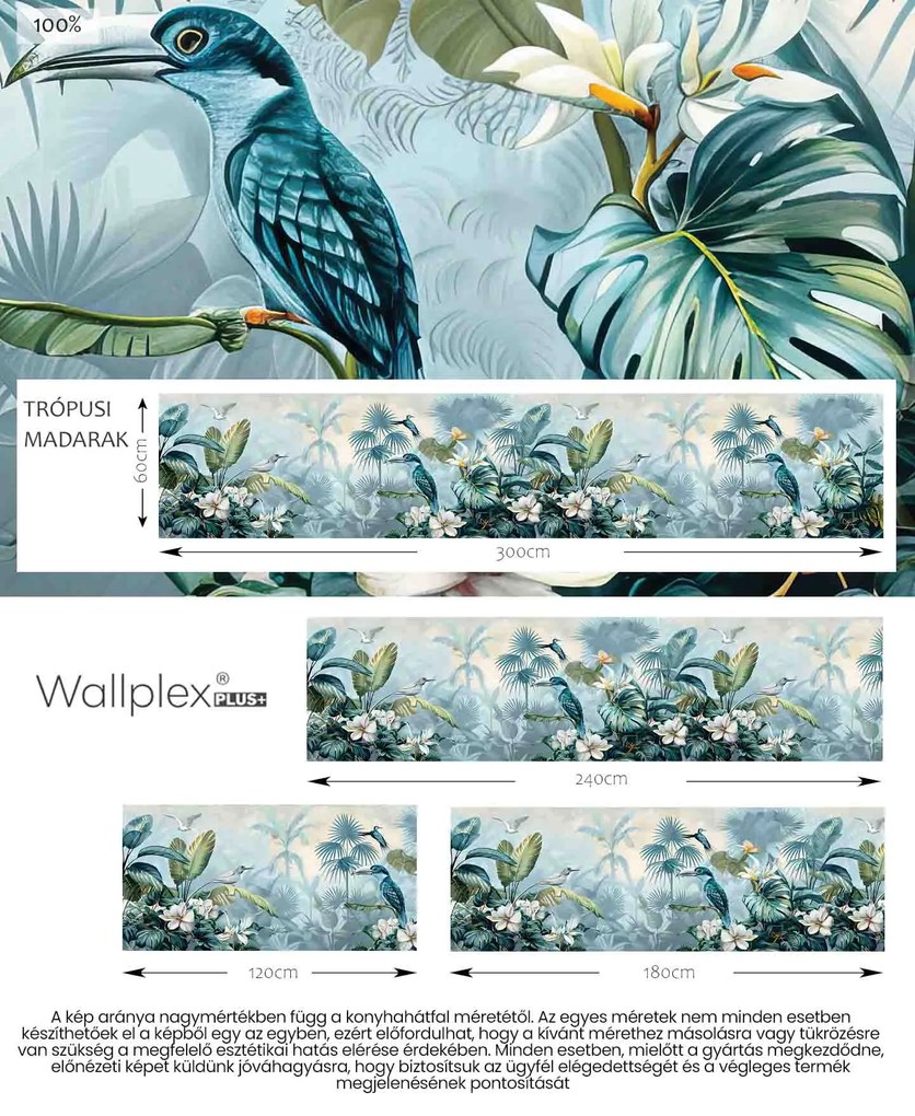 Wallplex konyhahátfal Trópusi Madarak (Méret: 60x180)