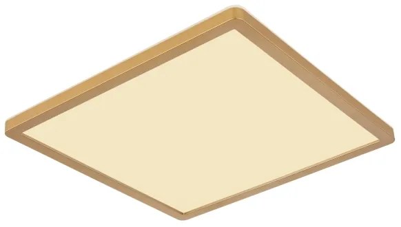 Globo 41563-24MM - LED Dimmelhető mennyezeti lámpa SAPANA LED/24W/230V IP44