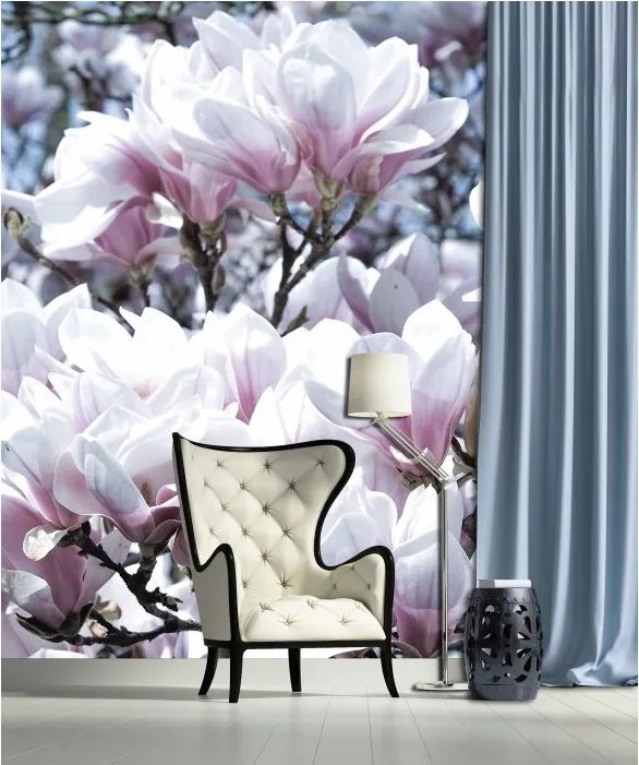 Flizelin fotótapéta Magnólia virágzó tavaszi elegancia 206x275 +ragasztó