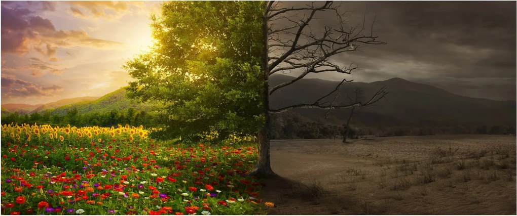 Kép - Életciklus (120x50 cm)