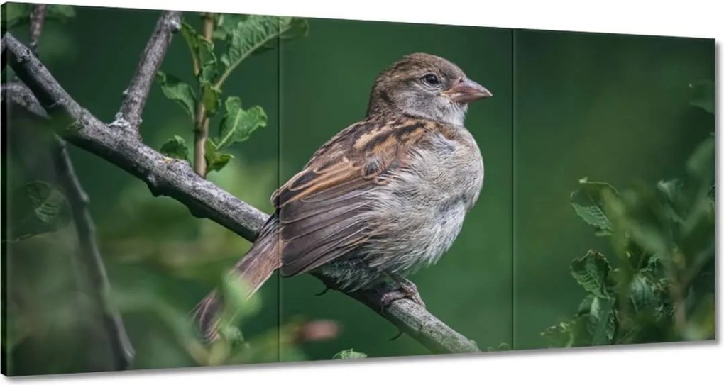 Festmények 180x90 A hétköznapi is lehet szép