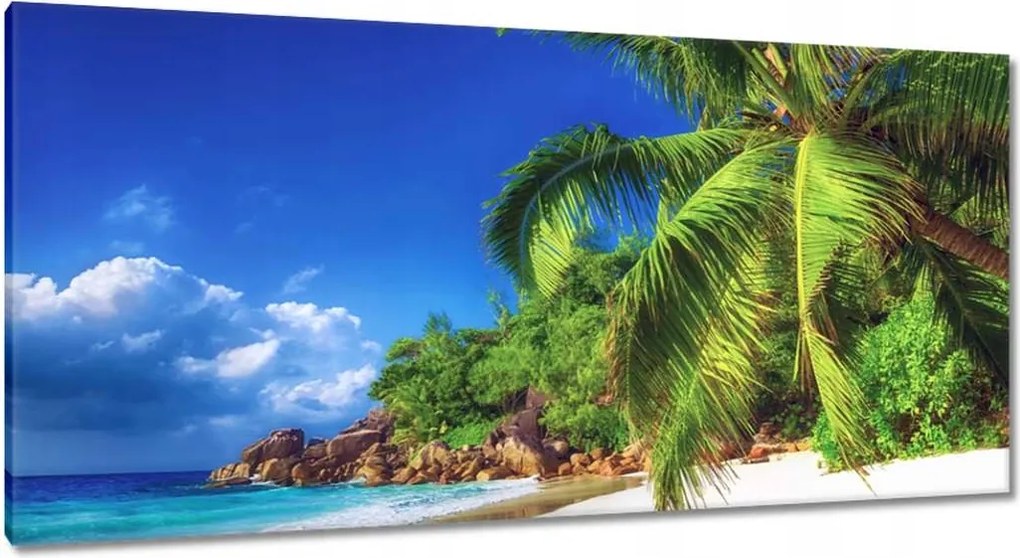 Vászonkép 115x55 Trópusok Tájkép Pálmafák