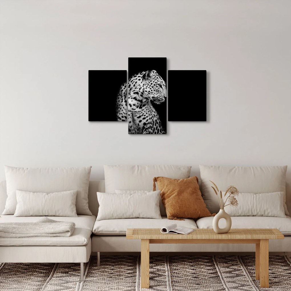 Kép - Leopárd (90x60 cm)