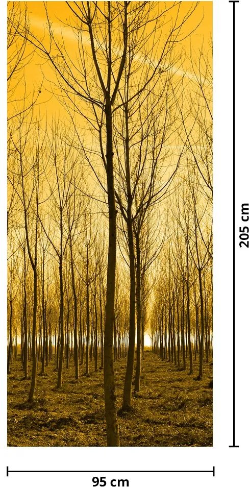 Fotótapéta ajtóra - Erdő naplementekor (95x205cm)