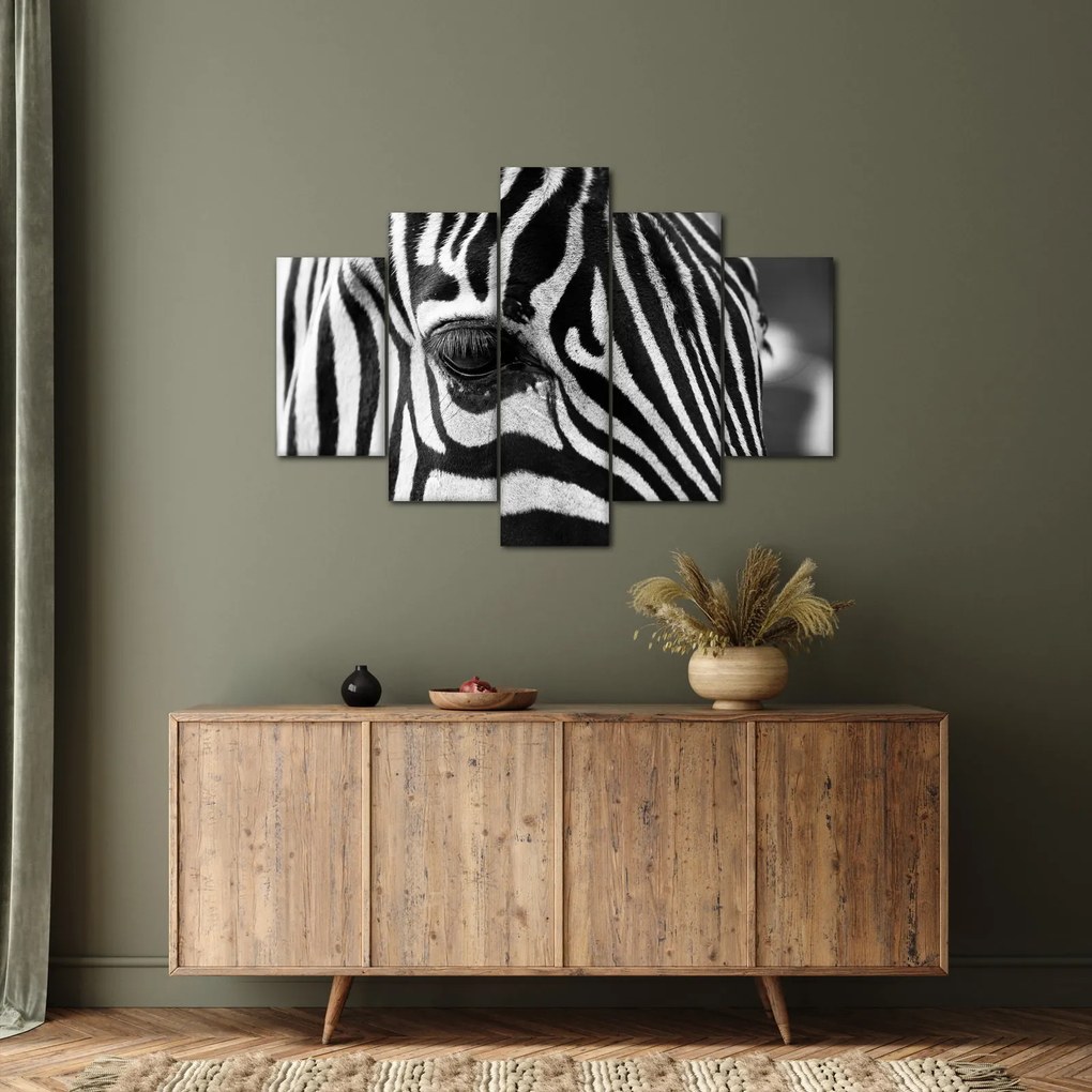 Zebra képe (150x105 cm)