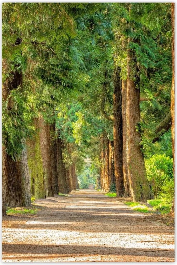 Poszterek 60x90 Tájkép